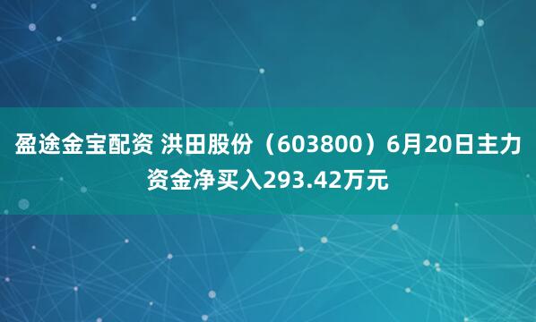 盈途金宝配资 洪田股份（603800）6月20日主力资金净买入293.42万元