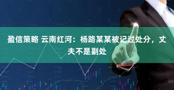 盈信策略 云南红河：杨路某某被记过处分，丈夫不是副处